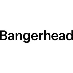 Rabattkoder och erbjudanden för bangerhead.se